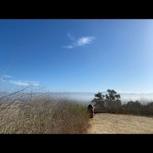 Meet your Posher, Nicola